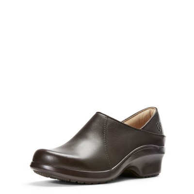 Ariat Hera Expert Clog -...